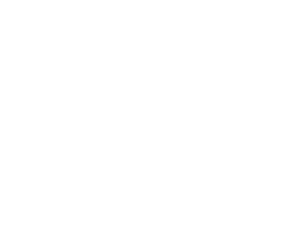 icon_1