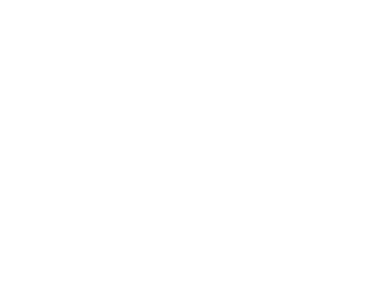 icon_1